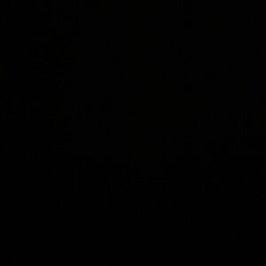 Meet your Posher, Thalia